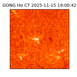 gong - 2025-11-15T19:00:42