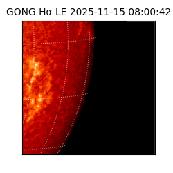 gong - 2025-11-15T08:00:42