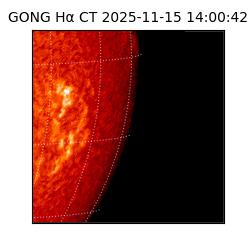 gong - 2025-11-15T14:00:42