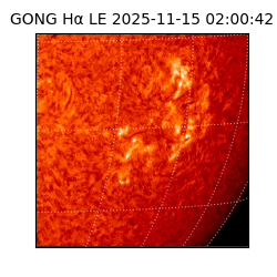 gong - 2025-11-15T02:00:42