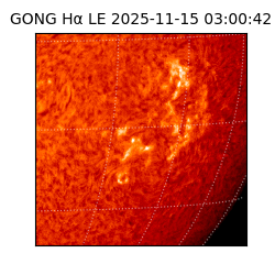 gong - 2025-11-15T03:00:42