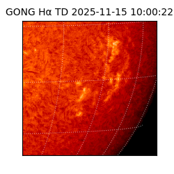 gong - 2025-11-15T10:00:22