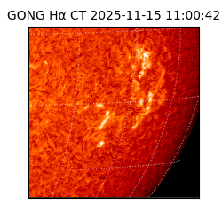 gong - 2025-11-15T11:00:42