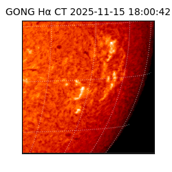 gong - 2025-11-15T18:00:42