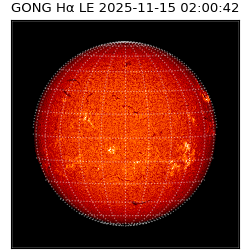 gong - 2025-11-15T02:00:42