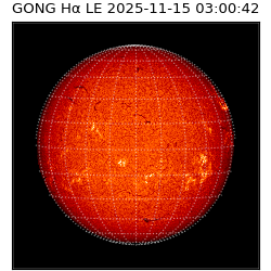 gong - 2025-11-15T03:00:42