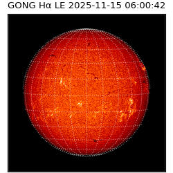 gong - 2025-11-15T06:00:42