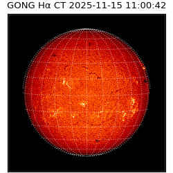 gong - 2025-11-15T11:00:42