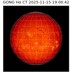 gong - 2025-11-15T19:00:42