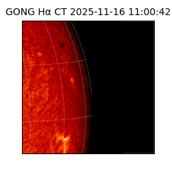 gong - 2025-11-16T11:00:42