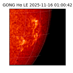 gong - 2025-11-16T01:00:42