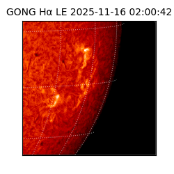 gong - 2025-11-16T02:00:42