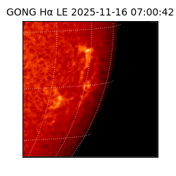 gong - 2025-11-16T07:00:42