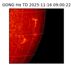 gong - 2025-11-16T09:00:22