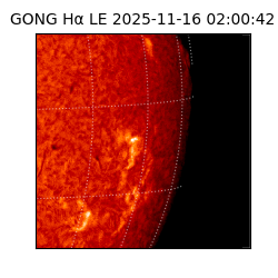 gong - 2025-11-16T02:00:42