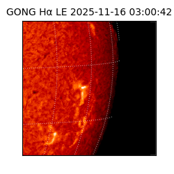 gong - 2025-11-16T03:00:42