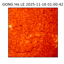 gong - 2025-11-16T01:00:42