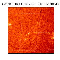 gong - 2025-11-16T02:00:42