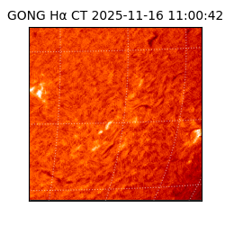 gong - 2025-11-16T11:00:42