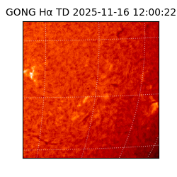 gong - 2025-11-16T12:00:22