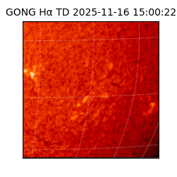 gong - 2025-11-16T15:00:22