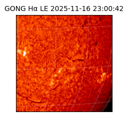 gong - 2025-11-16T23:00:42