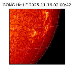 gong - 2025-11-16T02:00:42