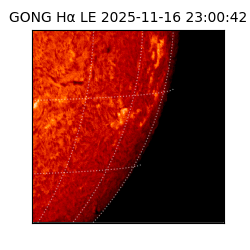 gong - 2025-11-16T23:00:42