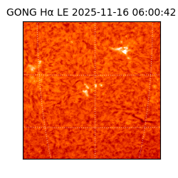 gong - 2025-11-16T06:00:42