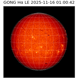 gong - 2025-11-16T01:00:42
