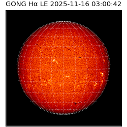 gong - 2025-11-16T03:00:42