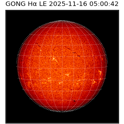 gong - 2025-11-16T05:00:42