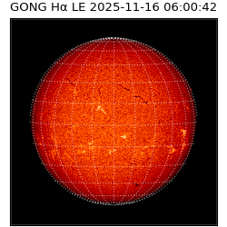 gong - 2025-11-16T06:00:42
