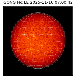 gong - 2025-11-16T07:00:42