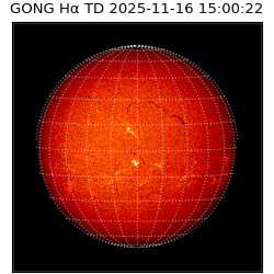gong - 2025-11-16T15:00:22