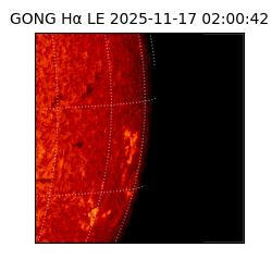 gong - 2025-11-17T02:00:42