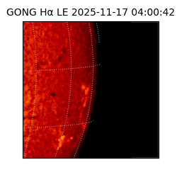 gong - 2025-11-17T04:00:42