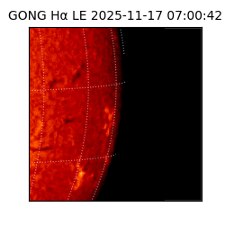 gong - 2025-11-17T07:00:42