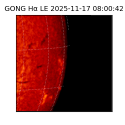 gong - 2025-11-17T08:00:42