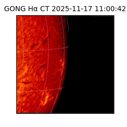 gong - 2025-11-17T11:00:42