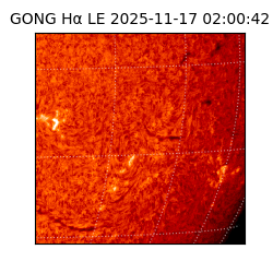 gong - 2025-11-17T02:00:42