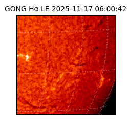 gong - 2025-11-17T06:00:42