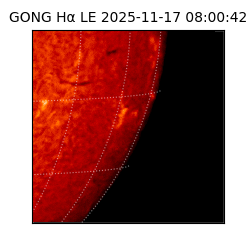 gong - 2025-11-17T08:00:42