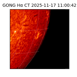gong - 2025-11-17T11:00:42