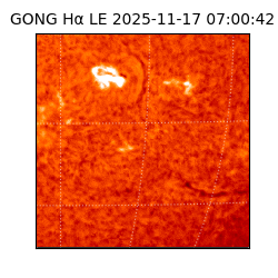 gong - 2025-11-17T07:00:42