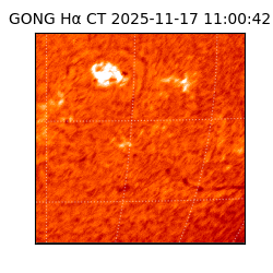 gong - 2025-11-17T11:00:42