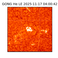 gong - 2025-11-17T04:00:42