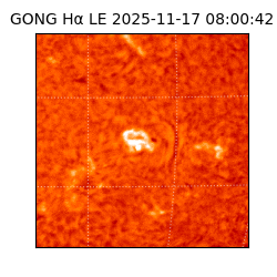 gong - 2025-11-17T08:00:42