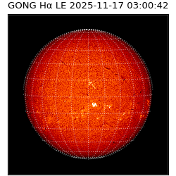 gong - 2025-11-17T03:00:42