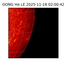gong - 2025-11-18T02:00:42